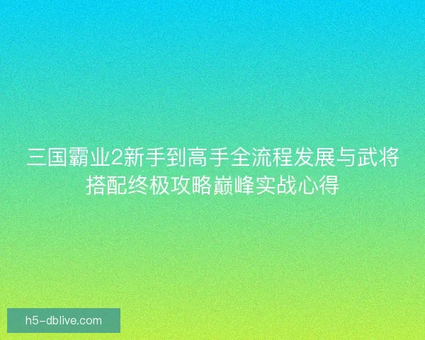 三国霸业2新手到高手全流程发展与武将搭配终极攻略巅峰实战心得