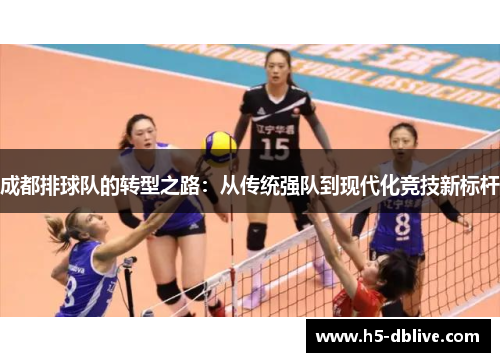 成都排球队的转型之路：从传统强队到现代化竞技新标杆