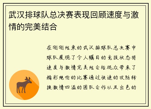 武汉排球队总决赛表现回顾速度与激情的完美结合